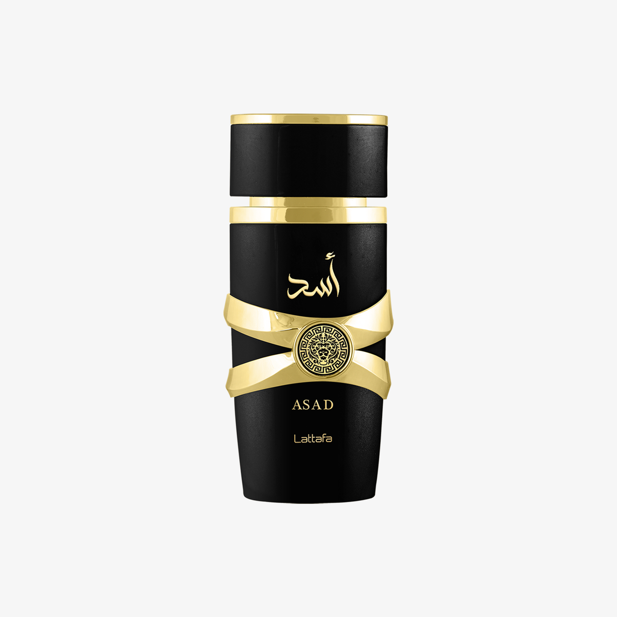 Asad-1_ceed76c7-7a80-46b3-b372-68cc309137f4